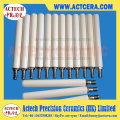 Customized Manufacturing Alumina Ceramic Plunger/Piston Rods